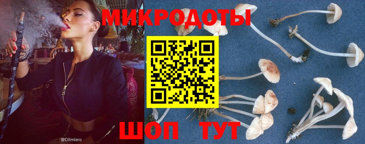 Галлюциногенные грибы ЛСД Красный Сулин