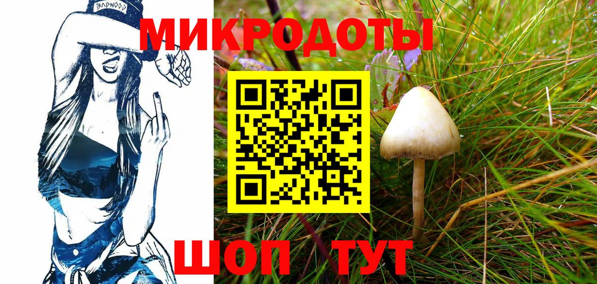Псилоцибиновые грибы GOLDEN TEACHER  Вход с VPN  Красный Сулин 